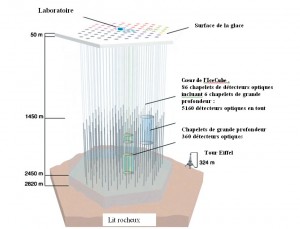 Plan actuel du détecteur de neutrinos IceCube avec 5160 senseurs optiques occupant un kilomètre cube de glace naturelle. Les signaux détectés par chaque élément sont transmis à la surface par les 86 câbles auxquels sont attachés en chapelets les détecteurs. Crédit Francis Halsen