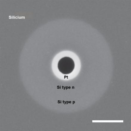 Fig.3 Une photodiode de type Schottky obtenue par dépôts séquentiels de Si dopé au phosphore(type p), de Si de type n et de couches de platine La barre d’échelle vaut 5 micromètres. Crédit Nature Photonics.