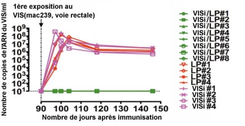 <em>La courbe présente, en ordonnée, la densité d'ARN du VIS</em><br /><em>mesurée dans le plasma des 16 animaux étudiés</em><br /><em>(tableau de droite). On remarque que les huit macaques</em><br /><em>immunisés au VISi/LP ne présentent pas d'infection(courbe verte)</em><br /><em>à la différence des huit autres qui ont reçu soit du LP seul, soit du virus inactivé VIVi seul.              Crédit J.M. Andrieu et Wei Lu.</em>