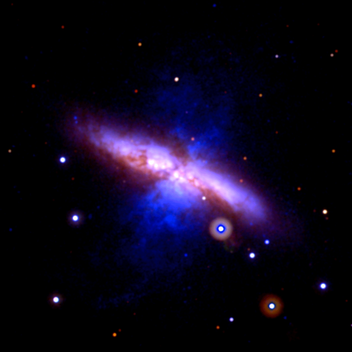 M82-Animate