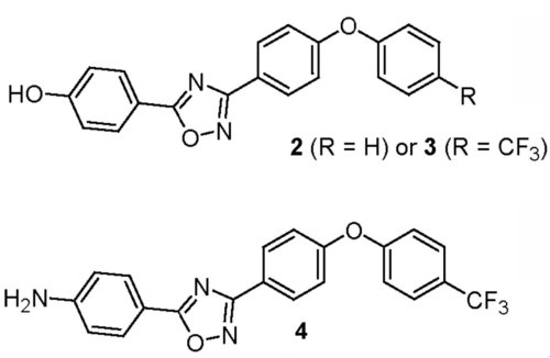 structure des composés 2, 3 et 4_500