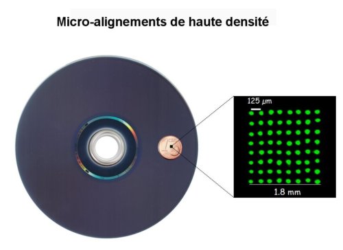 Fig.2. Impression de sondes microscopiques sur un disque Blu-ray. Crédit Ángel Maquieira. 