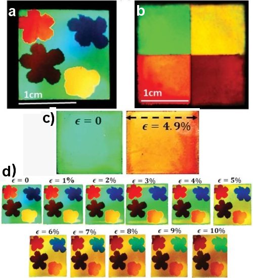 Fig.4. a) photographie d’un échantillon à motif floral en lumière blanche. b) Photographie des 4 couleurs (vert, jaune, orange et rouge)constituant la palette des couleurs en lumière blanche. c) photographie d’un échantillon avant (ε=0, sa couleur est verte) et après (ε=4,9%) sa mise sous tension. d) Photographie de l’échantillon au motif floral au cours d’une suite de déformations de plus en plus élevées. Crédit Optica 