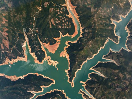 Fig.4. Lac Trinity, Californie, USA, le 3 juin 2015. Les berges desséchées du lac Trinity témoignent de la sévérité de la sécheresse régnant actuellement en Californie. Le niveau de ce réservoir est 30 m au-dessous de sa valeur normale en juin.Crédit Planet Labs.