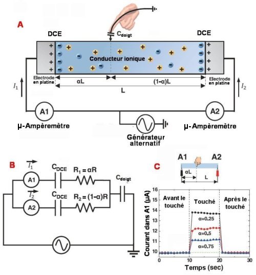 Fig.1. Schéma de principe d'une bande tactile ionique unidimensionnelle A) Bande ionique tactile 1D de longueur L. Quand on touche la bande, comme le doigt est à la masse, un circuit se ferme entre les deux bouts de la bande et le point touché. B) Circuit électrique de la bande tactile. Les condensateurs CDCE dus aux doubles couches de charges électriques (DCE) sur les électrodes sont assimilables à des courts-circuits à cause de leur forte capacité et de la haute fréquence utilisée. La connaissance du courant I1 ou I2 fournit la distance αL entre le point touché et l'électrode du côté de A1. C) Enregistrement du courant I1 pour trois points ( α= 0,25, 0,5 et 0,75) touchés pendant 10 secondes. Reproduit de Highly stretchable, transparent ionic touch panel Chong-Chan Kim, Hyun-Hee Lee, Kyu Hwan Oh, Jeong-Yun Sun SCIENCE, 12 AUGUST 2016 • VOL 353 ISSUE 6300