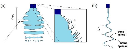 Fig.3. Représentation schématique du mécanisme de rupturedanle cas d’un buse de vaporisateur plate a)La vue de front de la nappe liquide montre comment des morceaux de la nappe d’une taille de l’ordre de la longueur d’onde λ de Squire se séparent de la nappe principale pour former des fragments à une distance l de la buse. Ces fragments se rompent en gouttelettes. b) La vue de côté de la nappe montre les modulations d’épaisseur dues à l’onde de Squire. L’augmentation d’amplitude de celle-ci conduit à la rupture de la nappe. Reproduit de What Determines the Drop Size in Sprays? Stefan Kooij, Rick Sijs, Morton M. Denn, Emmanuel Villermaux, and Daniel Bonn PHYSICAL REVIEW X 8, 031019 (2018) CC-BY 4.0.