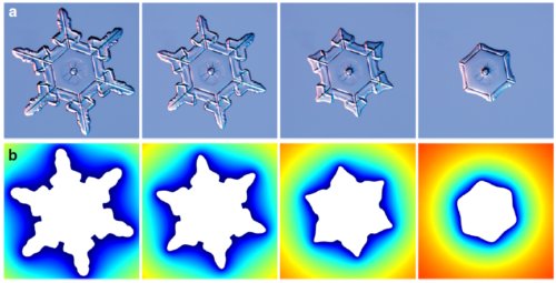 Fig.4. Sublimation d’un flocon de neige a)Suite d’images montrant un cristal de neige s’évaporant (adapté de K. Libbrecht ©2007, 2010 avec autorisation) b) Images d’une simulation 3D du même flocon de neige avec les paramètres suivants : épaisseur de 0,2 mm supposée uniforme, température du substrat Ts = - 10°C, air sec extérieur. Les couleurs représentent la concentration de vapeur d’eau allant de la concentration de saturation (en bleu) à la concentration nulle (en rouge). Reproduit de Singular sublimation of ice and snow crystals Etienne Jambon-Puillet , Noushine Shahidzadeh & Daniel Bonn NATURE COMMUNICATIONS | (2018) 9:4191 | DOI: 10.1038/s41467-018-06689-x C.C.4.0