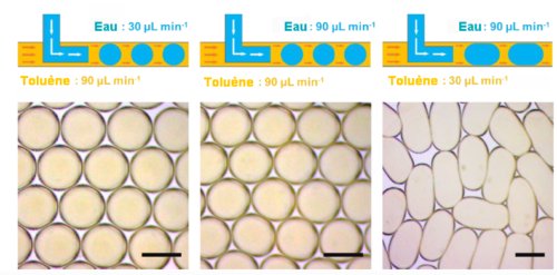 Fig.2. Mise en forme des gouttelettes par impression 3D dans des tubes microfluidiques. On peut optimiser la forme des gouttelettes en variant le débit de la phase aqueuse (nanoparticules de Fe3O4-éµlCO2H dans l’eau) et celui de la phase huileuse (POSS-NH2 dans le toluène dans le tube téflon où les deux fluides se mélangent . Barres d’échelle : 1 mm. Tiré de Reconfigurable ferromagnetic liquid droplets Xubo Liu, Noah Kent, Alejandro Ceballos, Robert Streubel, Yufeng Jiang, Yu Chai, Paul Y. Kim, Joe Forth, Frances Hellman, Shaowei Shi, Dong Wang, Brett A. Helms, Paul D. Ashby, Peter Fischer, Thomas P. Russell. Science 365, 264–267 (2019) 19 July 2019 . Avec autorisation. Fig.2. Mise en forme des gouttelettes par impression 3D dans des tubes microfluidiques. On peut optimiser la forme des gouttelettes en variant le débit de la phase aqueuse (nanoparticules de Fe3O4-éµlCO2H dans l’eau) et celui de la phase huileuse (POSS-NH2 dans le toluène dans le tube téflon où les deux fluides se mélangent . Barres d’échelle : 1 mm. Tiré de Reconfigurable ferromagnetic liquid droplets Xubo Liu, Noah Kent, Alejandro Ceballos, Robert Streubel, Yufeng Jiang, Yu Chai, Paul Y. Kim, Joe Forth, Frances Hellman, Shaowei Shi, Dong Wang, Brett A. Helms, Paul D. Ashby, Peter Fischer, Thomas P. Russell. Science 365, 264–267 (2019) 19 July 2019 . Avec autorisation.